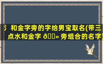 氵和金字旁的字给男宝取名(带三点水和金字 🌻 旁组合的名字)